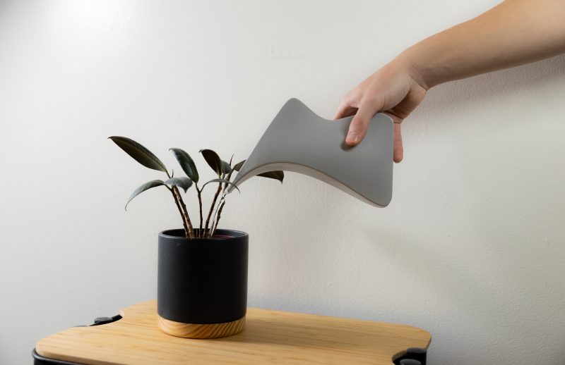 an engaging indoor watering can